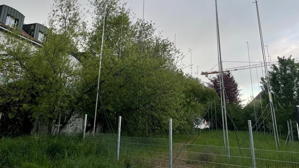 Bauprofile in einer Wiese.
