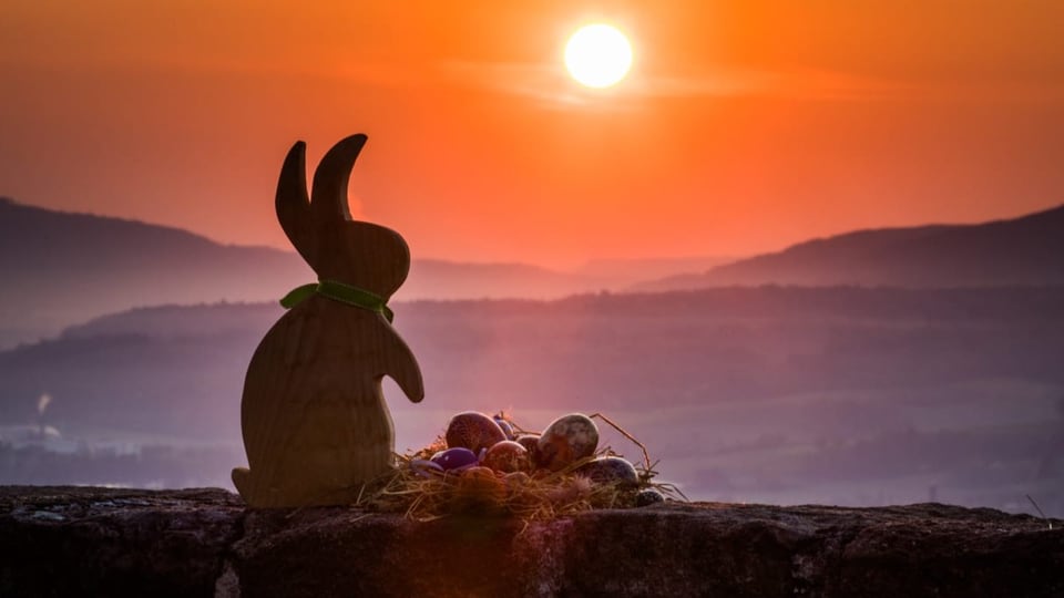 Osterhase im Sonnenaufgang