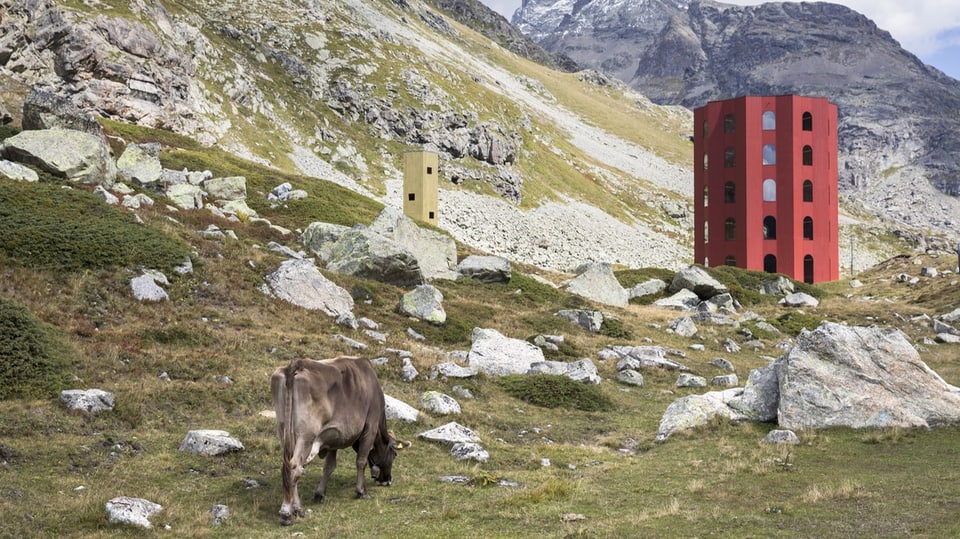 Roter Turm im Vordergrund eine grasende Kuh