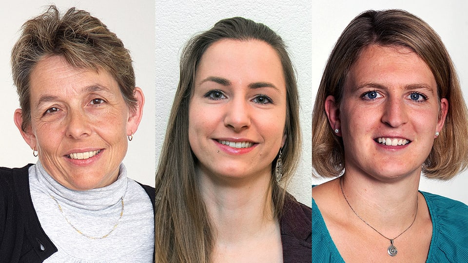Porträtaufnahmen der Experten