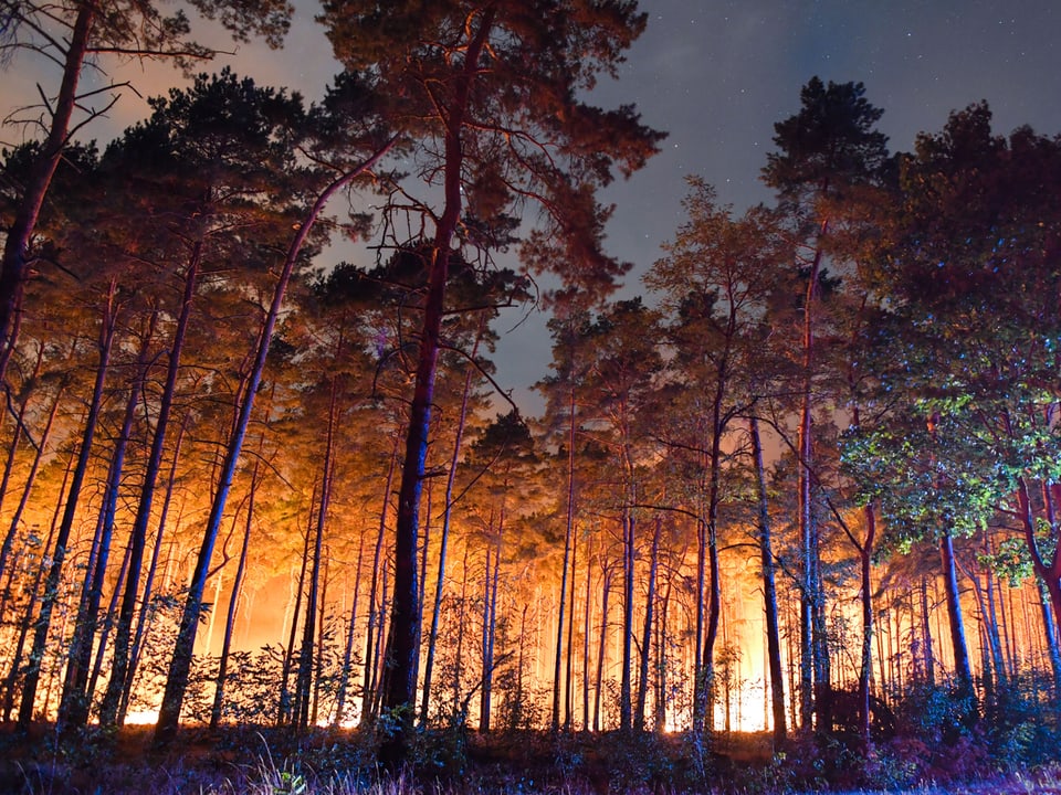 Brennender Wald. 