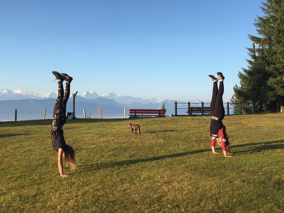 16. Juli Zwei Mädchen im Handstand auf einer Wiese, zwischen den beiden spaziert eine Katze hindurch, es herrscht wolkenloses Wetter.