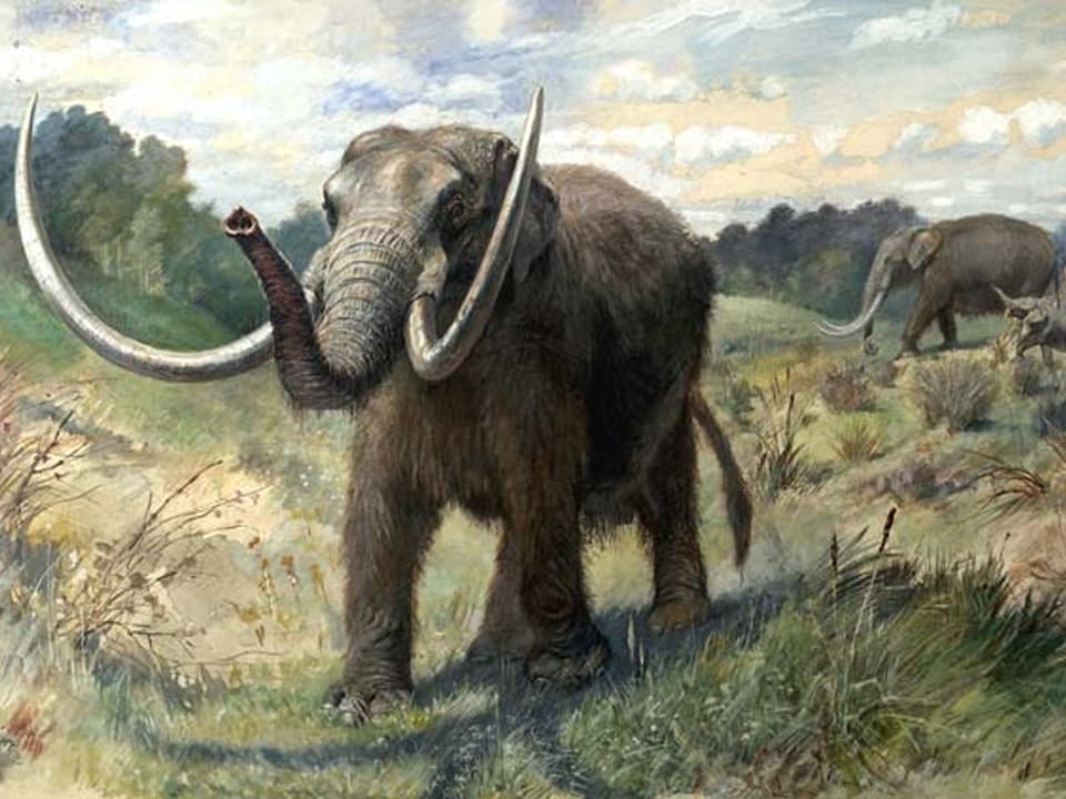 Gemaltes Mastodon