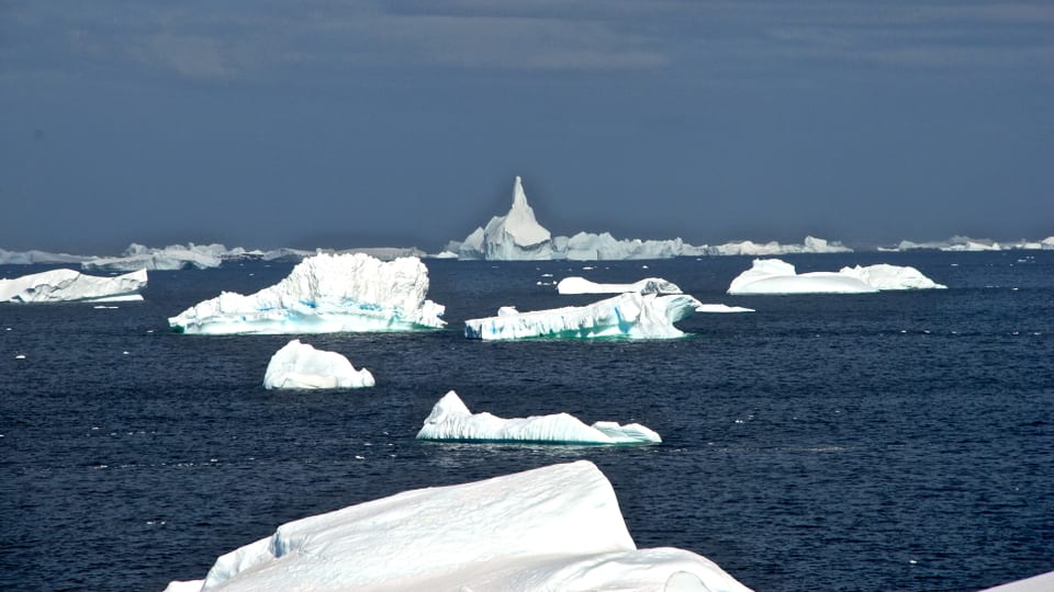 Zahlreiche Eisbrocken treiben im Meer vor der Antarktischen Halbinsel.