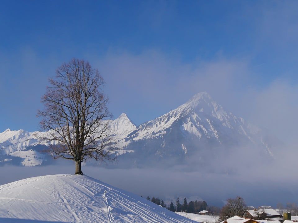 Der Nebel lichtet sich, die Landschaft mit Bäumen und Bergen wird erkennbar.