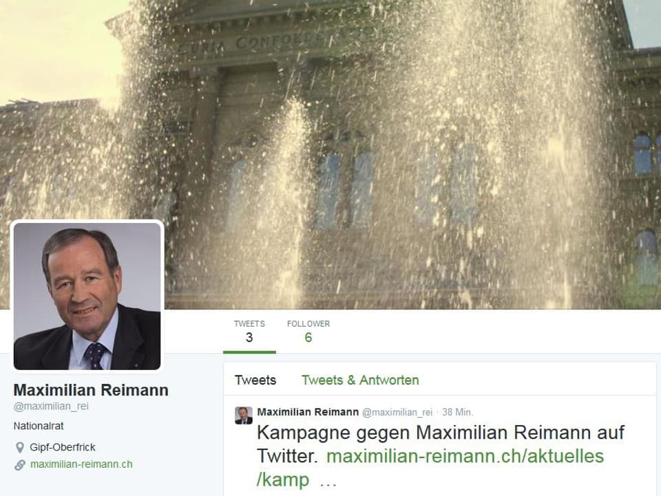 Printscreen Twitter-Account Reimann