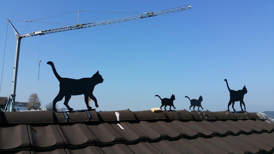 Katzenparade aus Bleck auf dem Dachfirst.