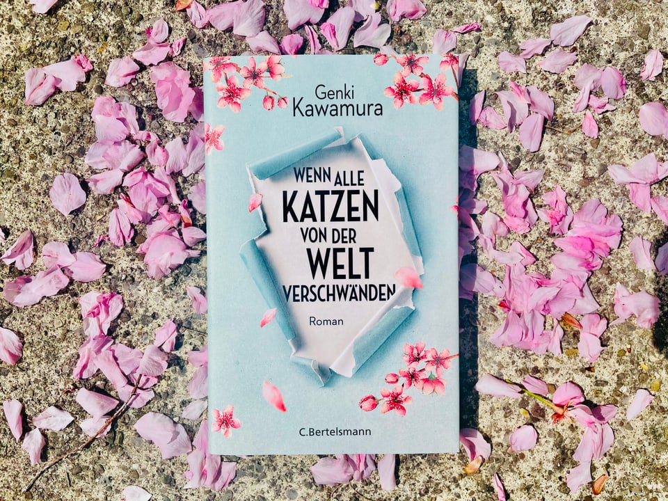 Der Roman «Wenn alle Katzen von der Welt verschwänden» von Genki Kawamura liegt auf Kirschblüten