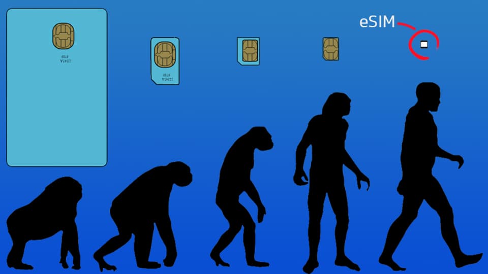 Oben SIM-Karten, die immer kleiner werden, unten der Mensch, wie er sich vom Affen zum Homo Sapiens entwickelt.
