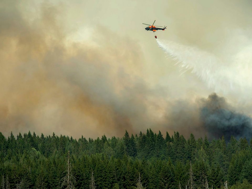 Ein Helikopter schüttet Wasser über einen brennenden Wald.