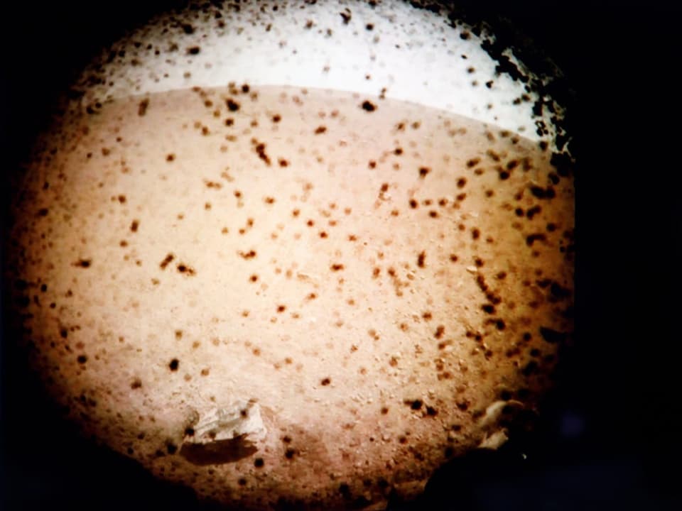 Das erste Bild, das «Insight» Ende November 2018 von der Mars-Oberfläche auf die Erde zurückschickte. 