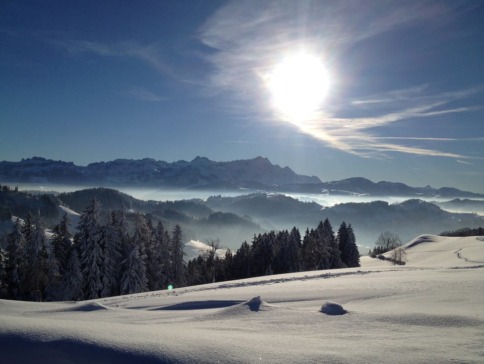 Blick in eine tiefverschneite Landschaft, im Hintergrund die Alpen.