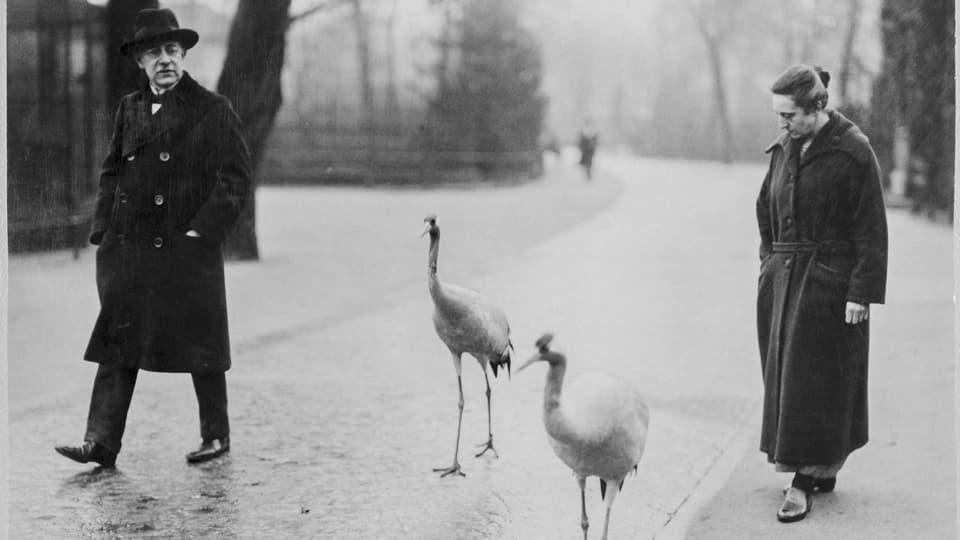 Eine Mann und Frau im Park mit zwei Vögeln am spazieren