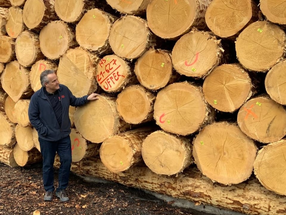 Enrico Uffer vor einer Beige mit Holzstämmen