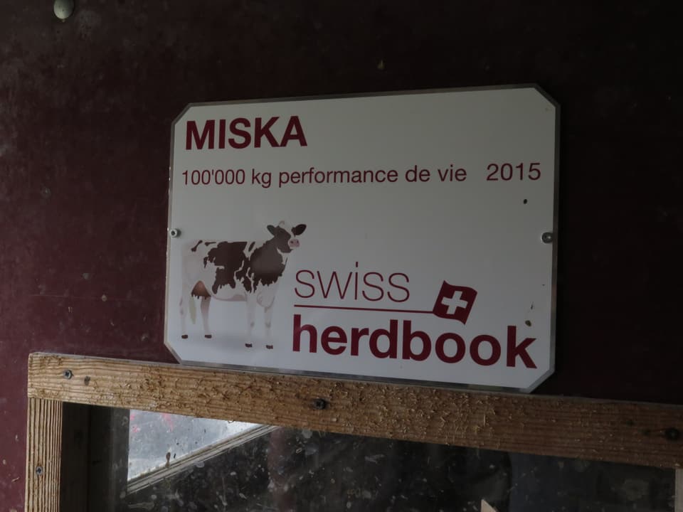 Ein Plakat, auf dem Miska steht und 100'000 kg Lebensperformance.
