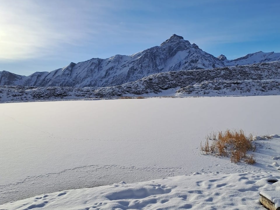 Blick auf einen gefrorenen See.