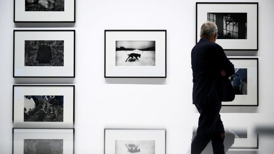 Ein Mann steht vor Bildern der aktuellen Koudelka-Ausstellung