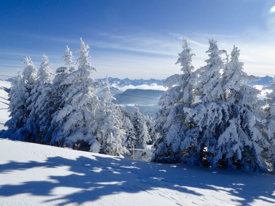 Verschneite Tannen werfen einen Schatten auf den Neuschnee. Im Hintergrund sieht man eine Bergkette. Am blauen Himmel hat es ein paar Schleierwolken.