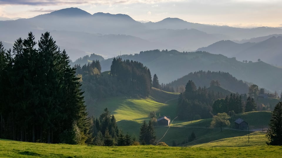 Blick in ein Tal vor einem Bergpanorama.