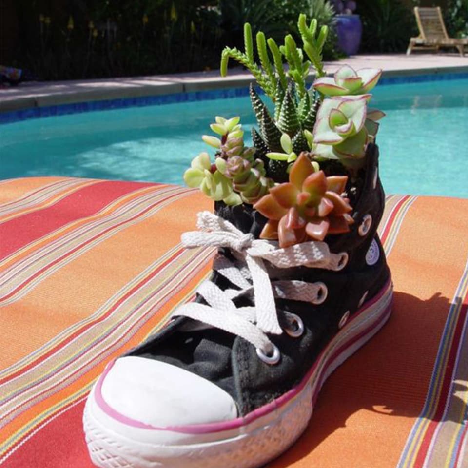 Bepflanze deinen Sneaker! Bepflanze deinen Sneaker!