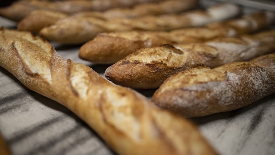 Mehrere Baguettes