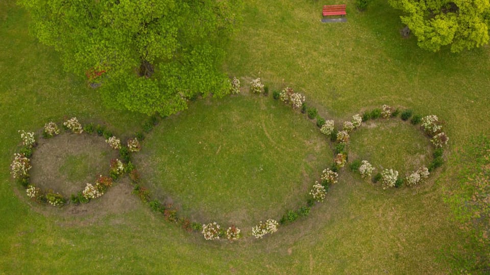 Drei Kreise in der Natur, die ineinandergreifen