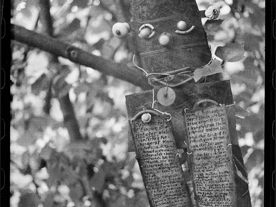 Beschriftete Plättchen hängen von einem Baum