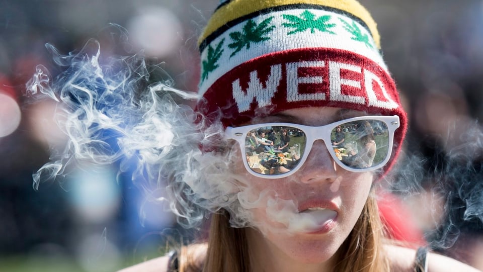 Cannabis-Versuche im Parlament auf Kurs