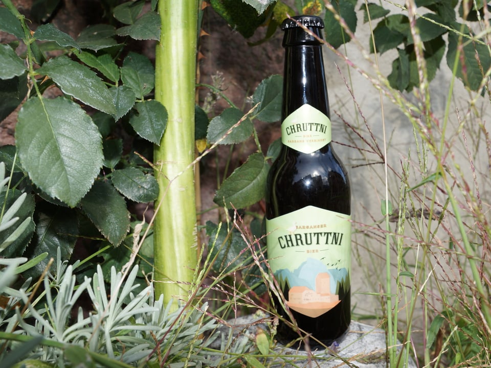 Eine Flasche Bier neben einer Pflanze.