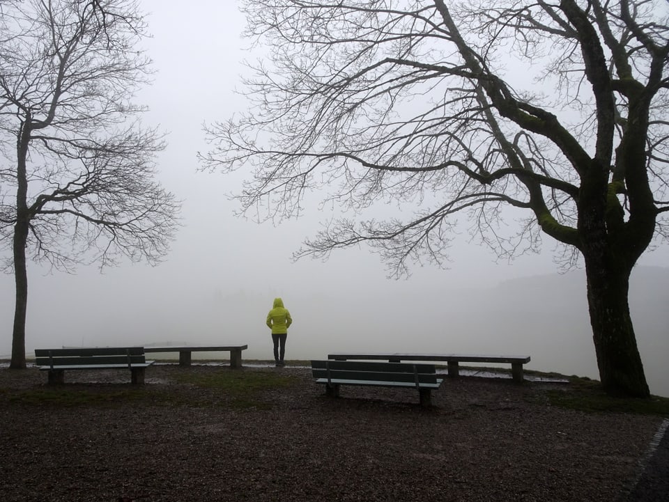 Eine Person steht auf einem Aussichtspunkt mit zwei Bäumen und Bänken. Die Aussicht ist getrübt durch Nebel.