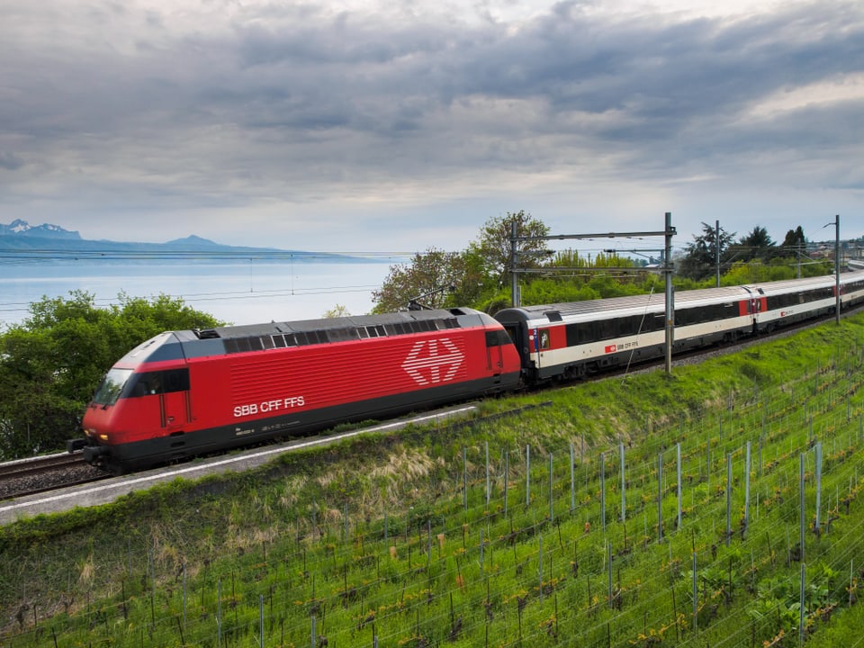 SBB Zug fährt entlang eines Sees und Weinbergs.