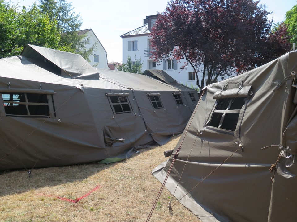 Zwei grüne Zelte vor Wohnhäusern. 