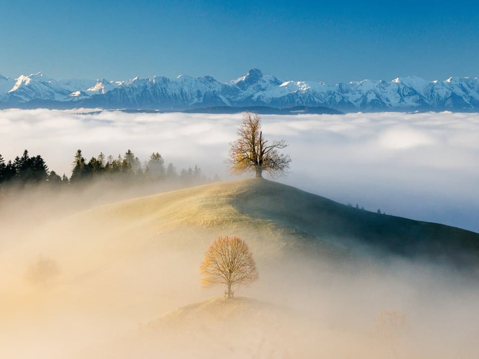Hügel mit Bäumen im Nebel, dahinter Nebelmeer und am Horizont verschneite Berge. 