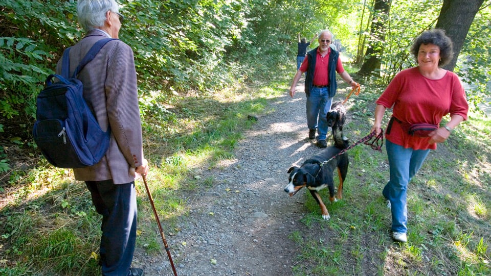Eine Hundesitterin spaziert mit einem Hund an der Leine durch den Wald.