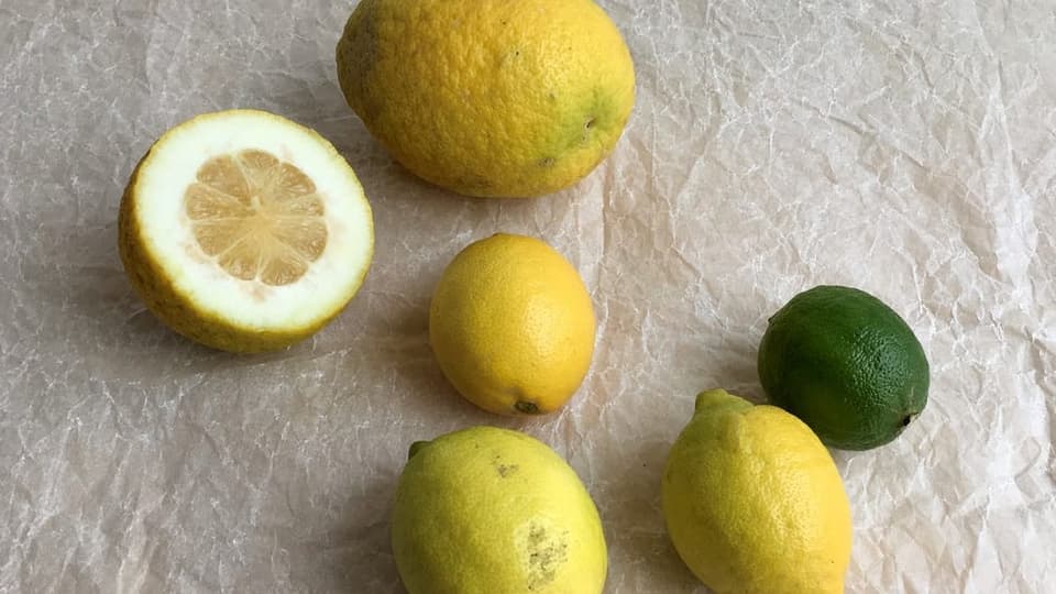 Eine aufgeschnittene und eine ganze Zedrate, drei Zitronen und eine Limette.