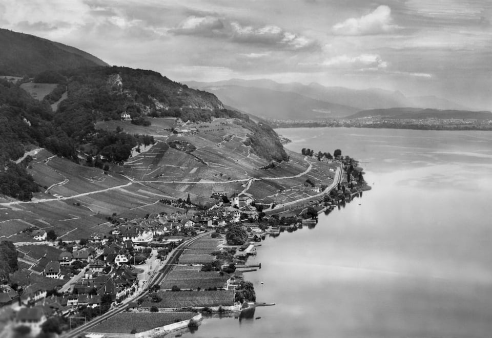 Luftaufnahme von Twann, 1950