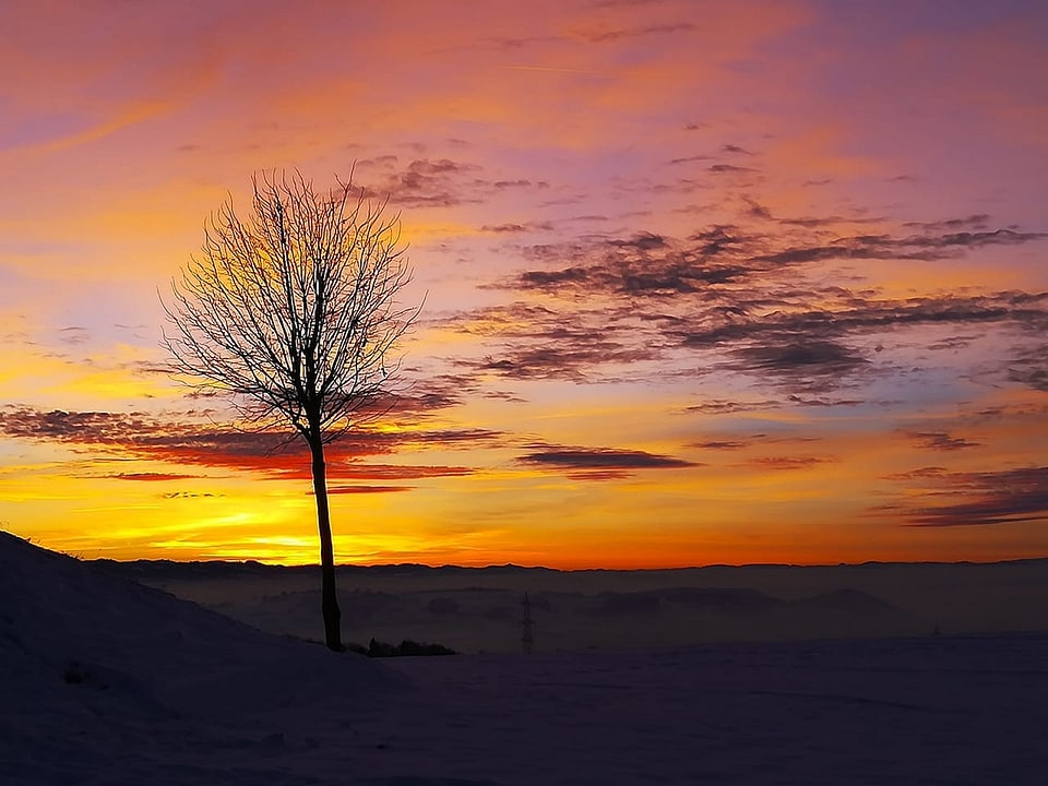 Beromünster/LU Stimmungsvoller Sonnenuntergang beim Landessender Beromünster