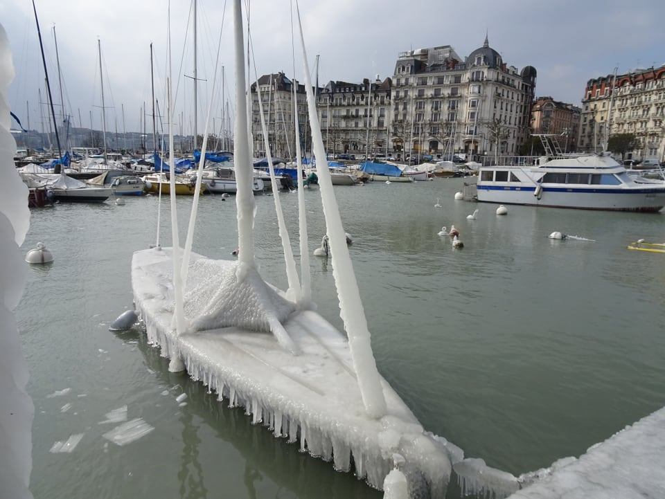 Eisbildung im Genfer Hafen.