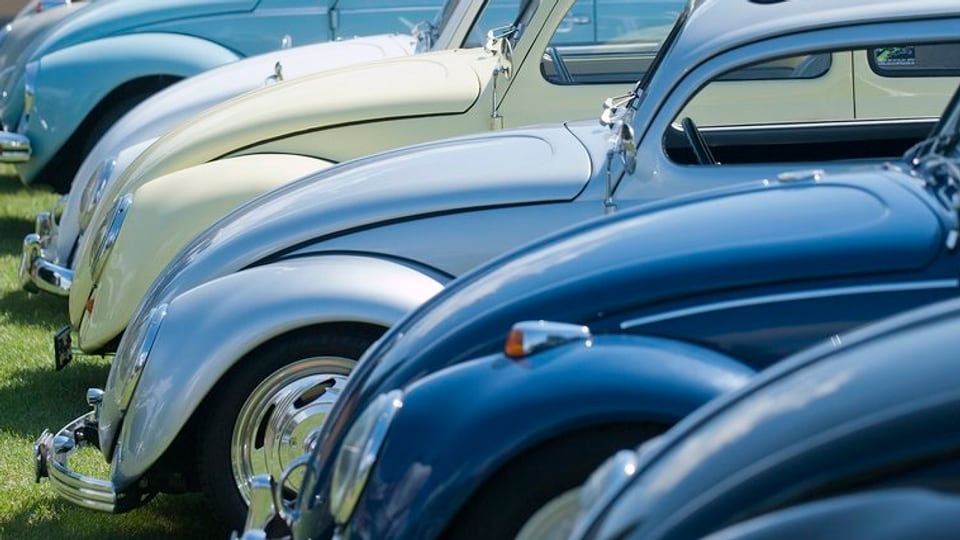 Viele VW-Käfer in Reih und Glied