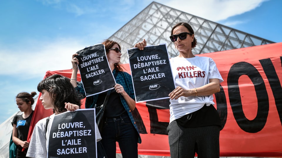 Leute protestieren vor dem Pariser Louvre. Sie halten Transparente in der Hand.