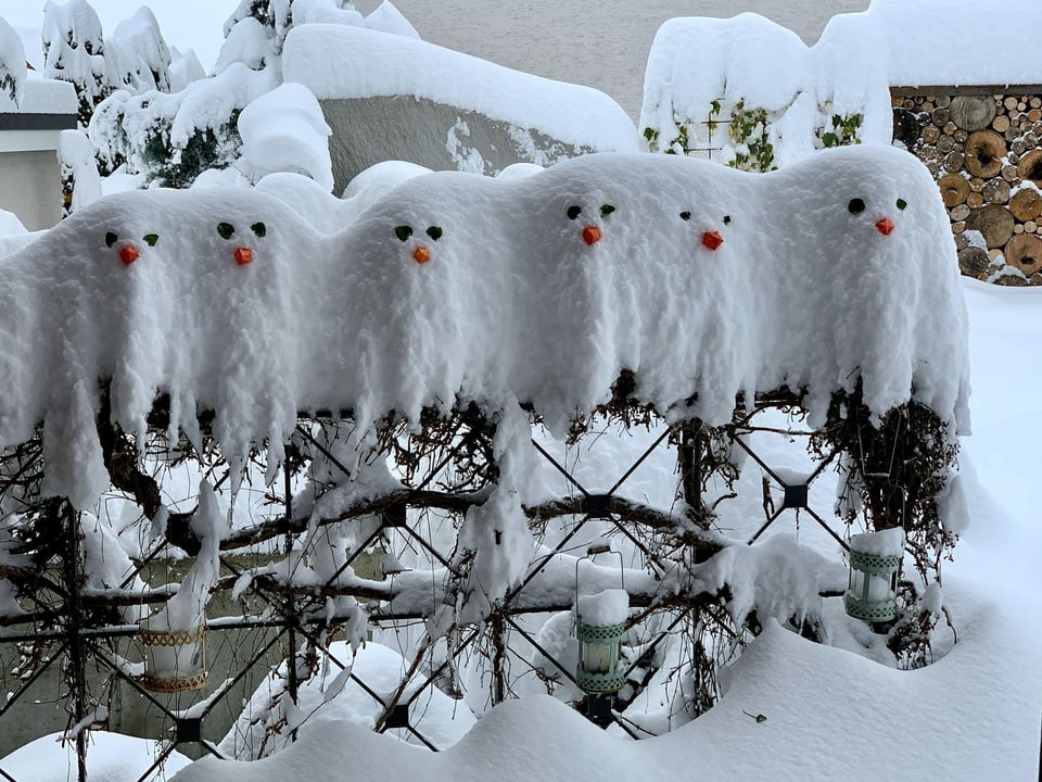 Geländer mit Schnee, verziert als Eulen.