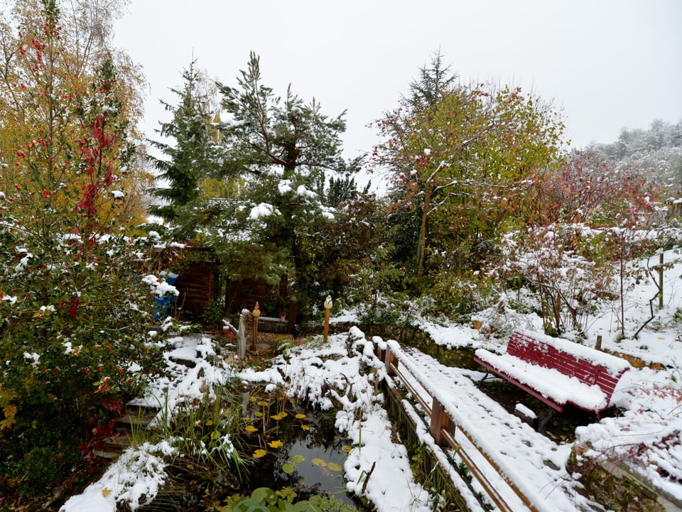 Garten mit Schnee.
