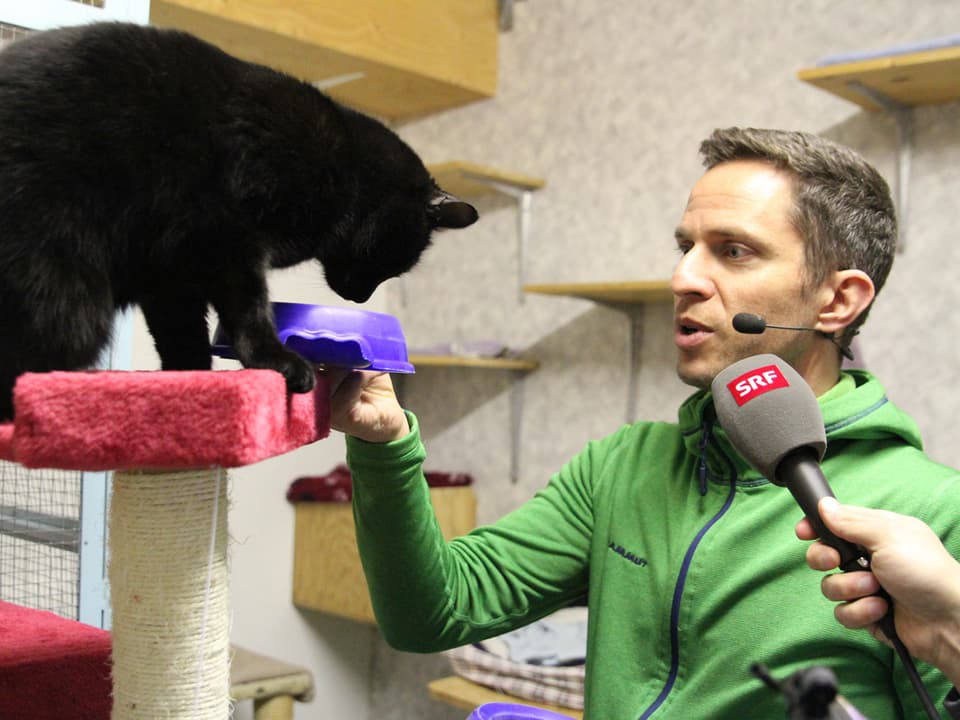 Adrian Küpfer fütterst eine schwarze Katze.