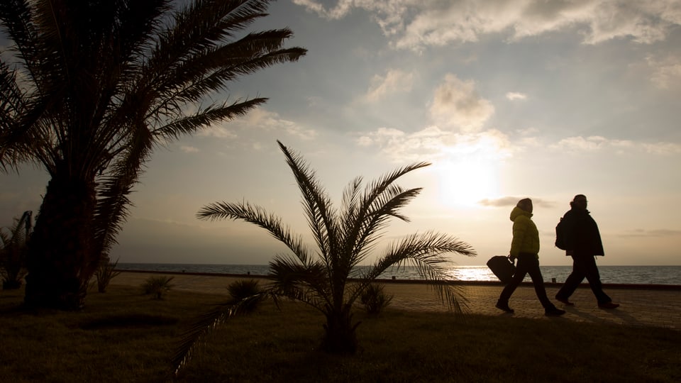 Zwei Personen spazieren an einem Strand mit Palmen.
