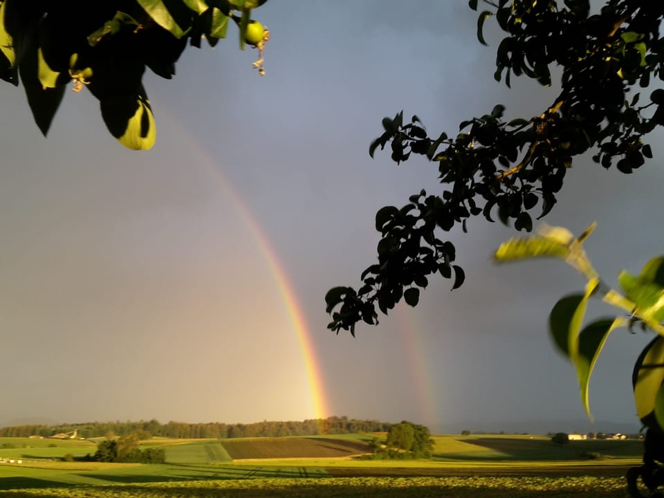 Regenbogen über einer Feldlandschaft.