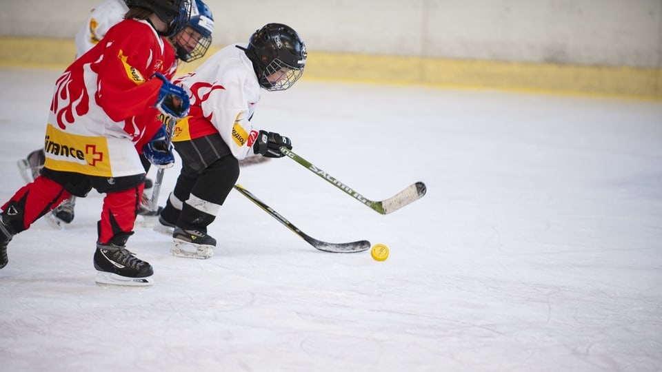 Drei Kinder in Eishockeymontur jagen in der Eishalle dem Puck nach.