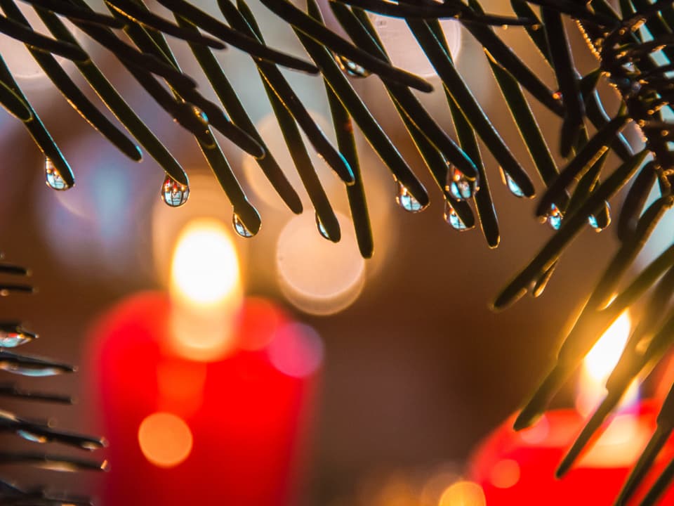 Im Hintergrund Kerzen des Adventskranzes - im Vordergrund Tannenadeln mit Regentröpfchen.