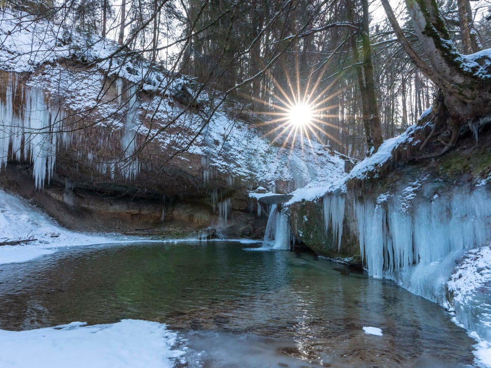 Eiszapfen hängen am Ufer des Flusse, ein Tümpel ist an den Rändern gefroren, die Sonne strahlt durch Bäume hindurch.