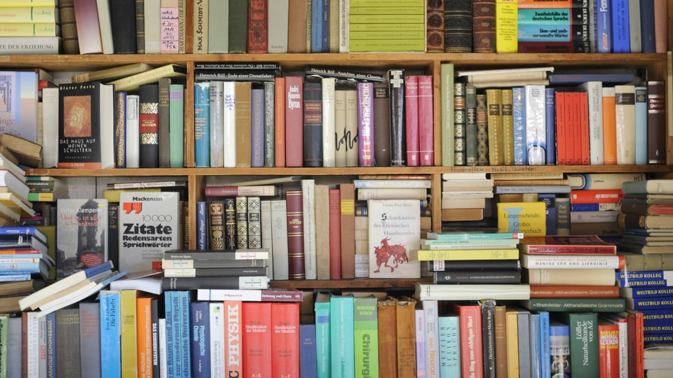 Prall gefülltes Bücherregal, davor stapeln sich weitere Bücher