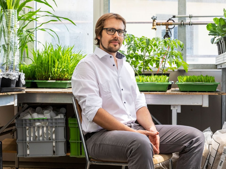 Matthias Erb in weissem Hemd sitzt im Labor vor seinen Pflanzen